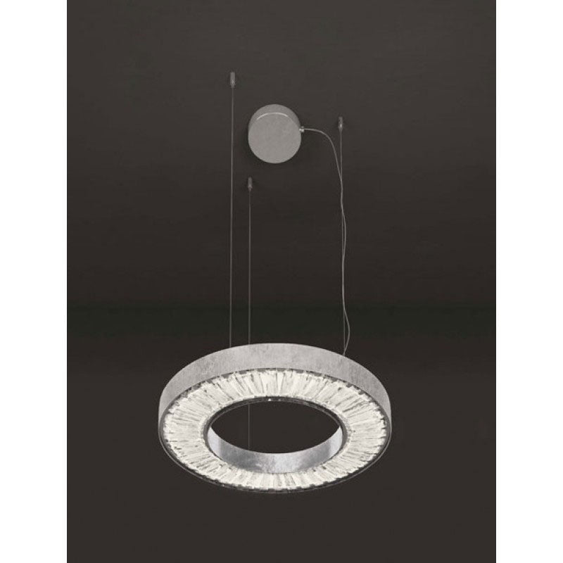 DV3906 CANOPUS