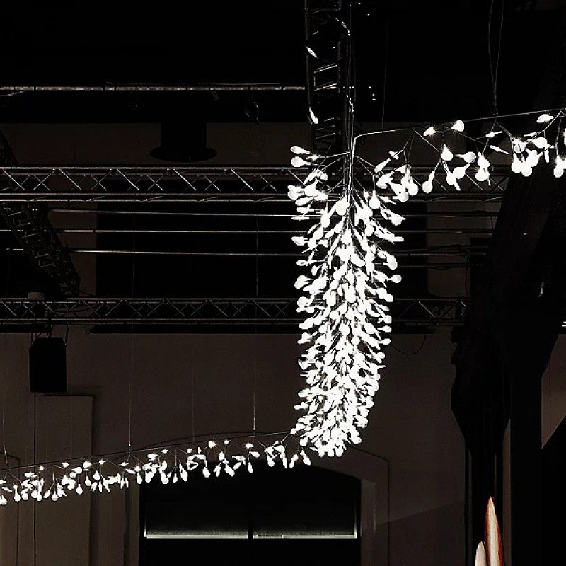 QZ2121 HERACLEUM SUSPENSION