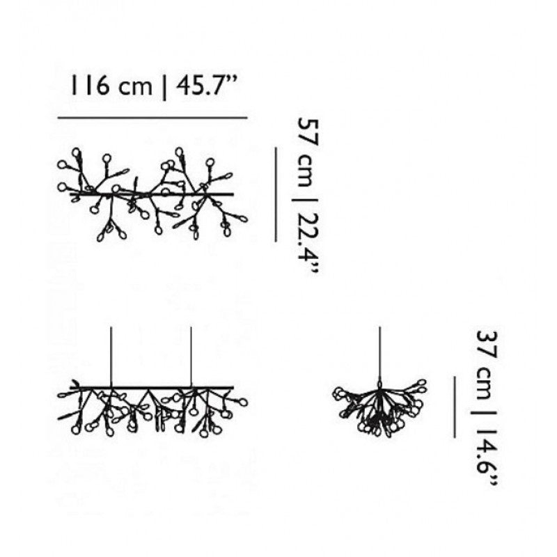 QZ2121 HERACLEUM SUSPENSION