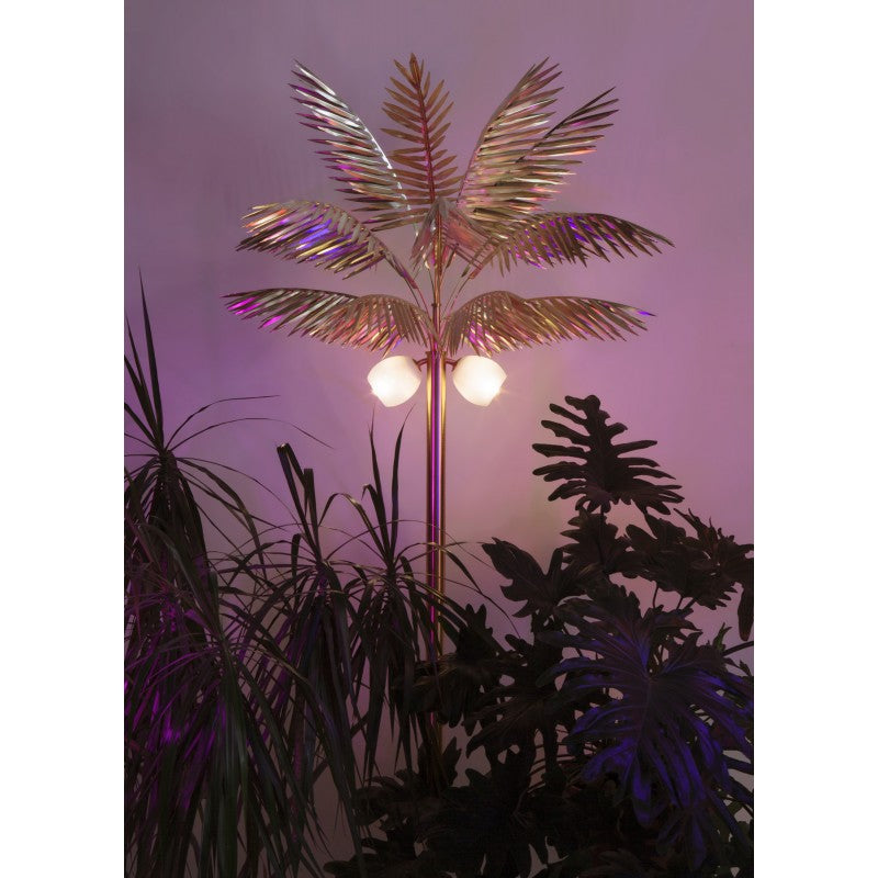 WM500 Palmyra Lamp