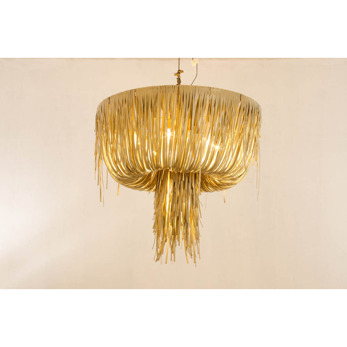 AM80723 Urchin