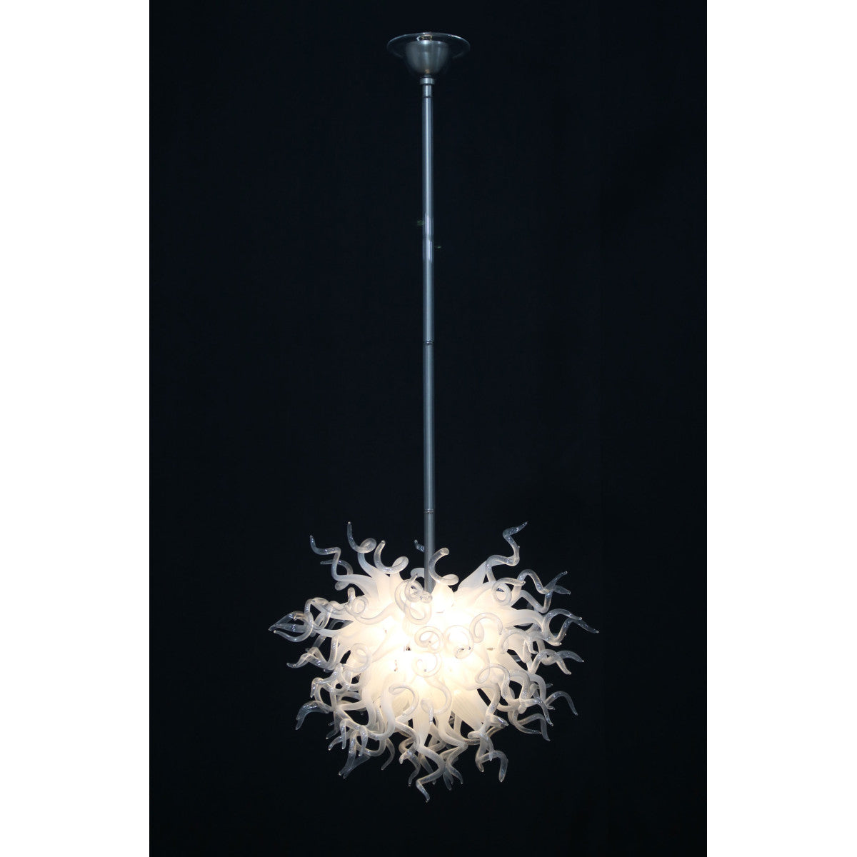 DV8869 Coral