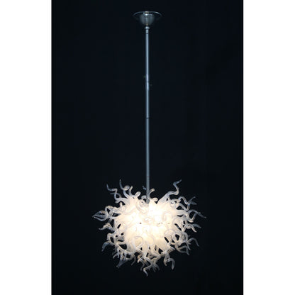 DV8869 Coral