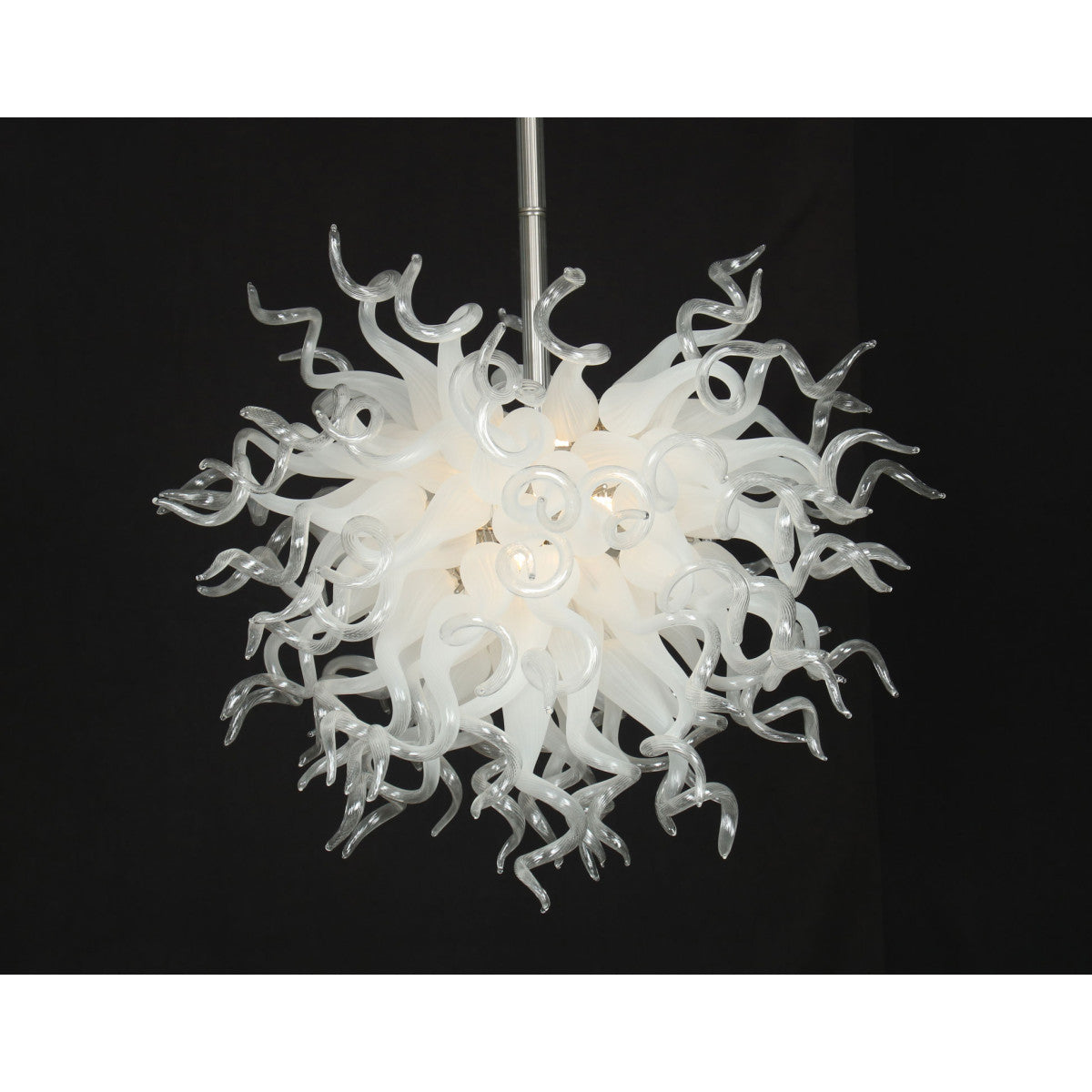 DV8869 Coral