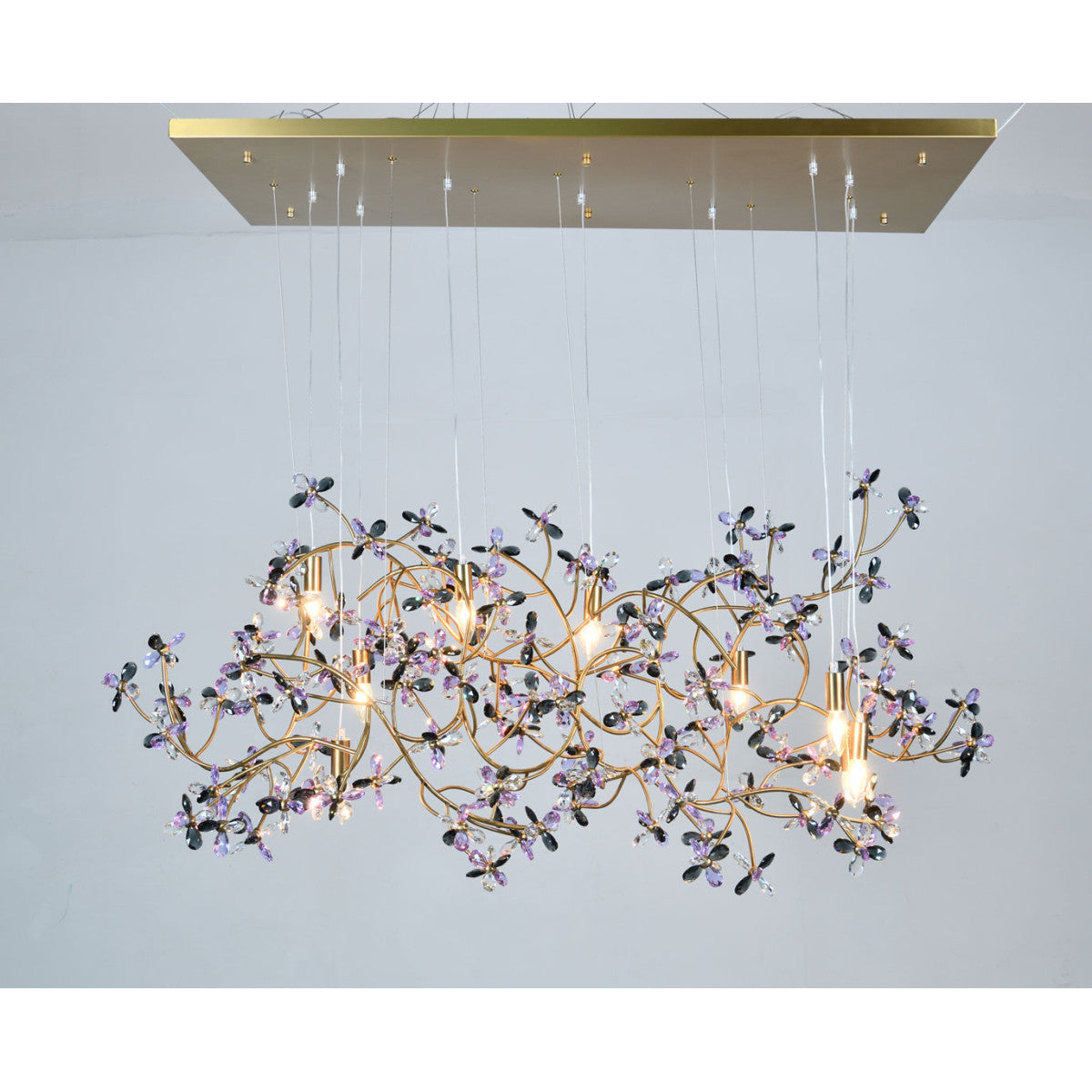 AM8850 Eden Crown
