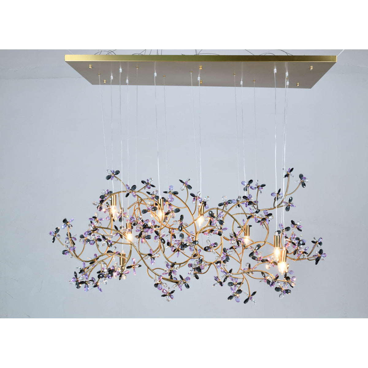AM8850 Eden Crown