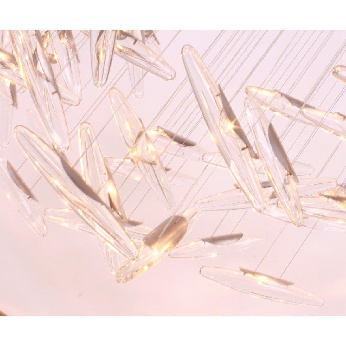 AM0201 MOONLIGHT MURMURATION
