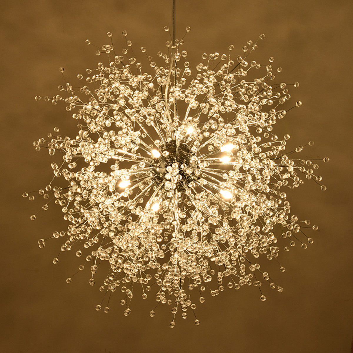 AM1600 Dandelion