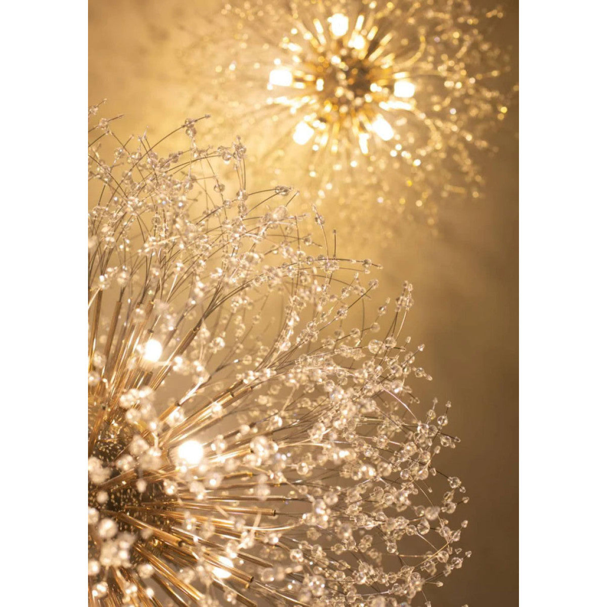 AM1600 Dandelion