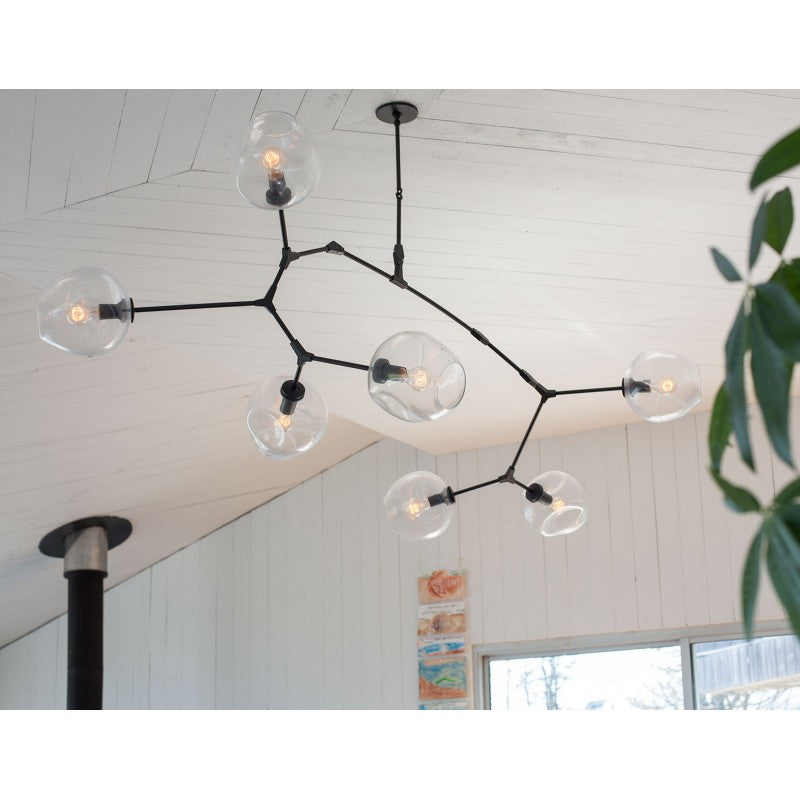 DV5611 BRANCHING BUBBLES