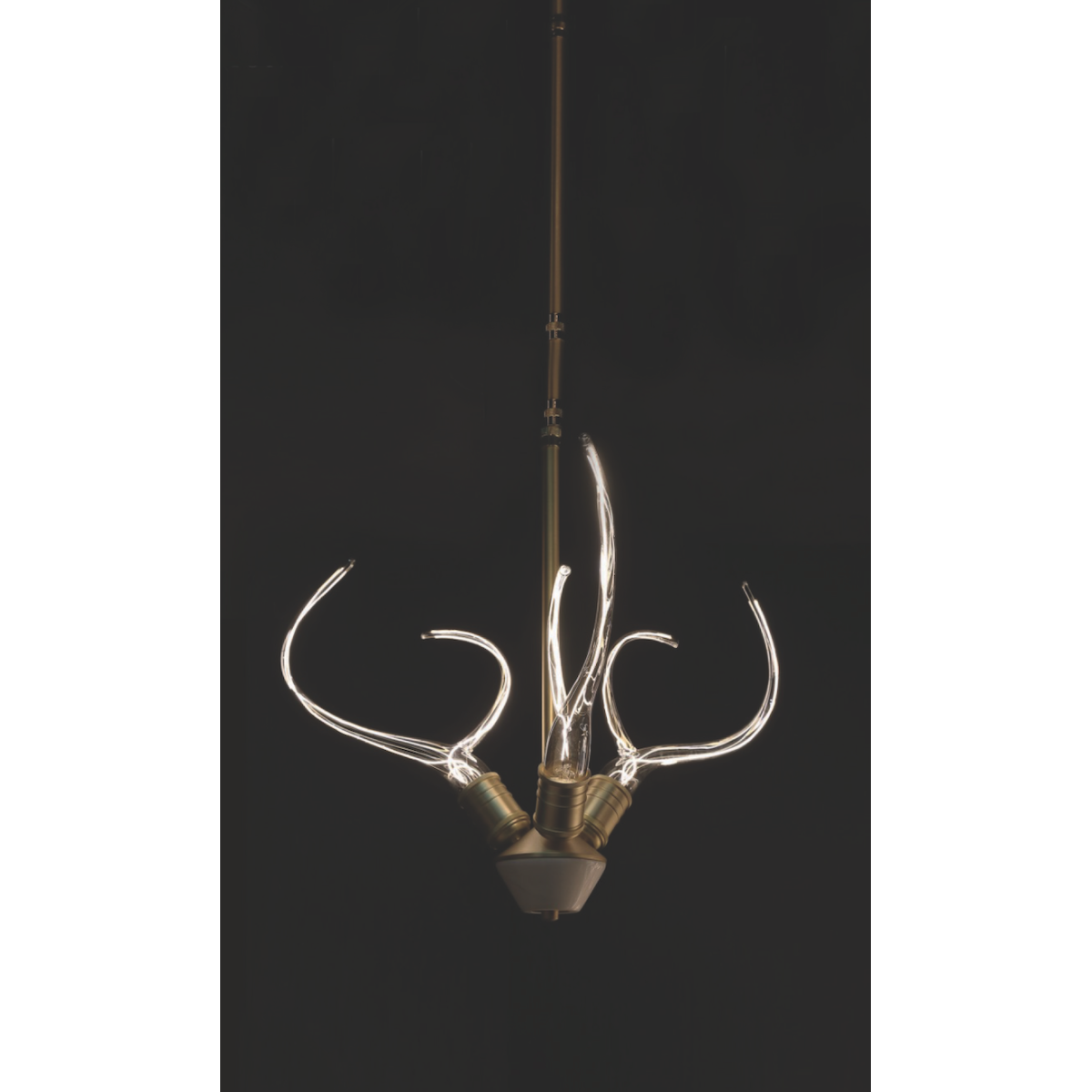 IQ8137 Antler's Horn