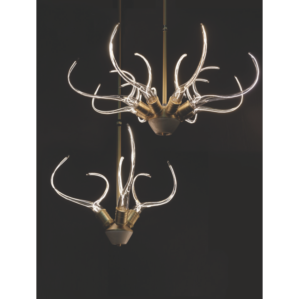 IQ8137 Antler's Horn
