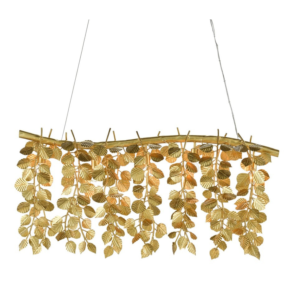 IQ8416 Golden Eucalyptus