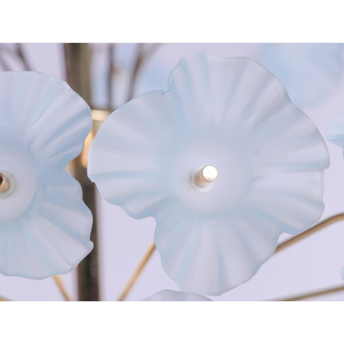 KA1831 Hibiscus