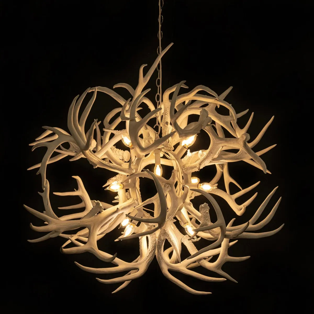 KA1900 Lucite Antlers