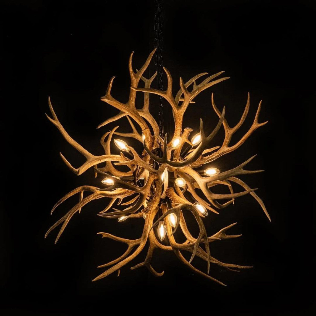 KA1900 Lucite Antlers