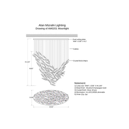 AM0201 Moonlight Murmuration