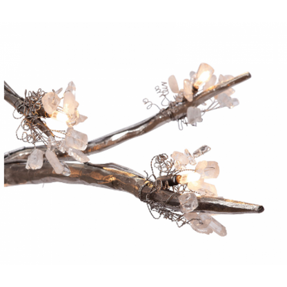 OR076 BRANDOLINI