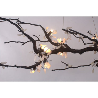 OR076 BRANDOLINI