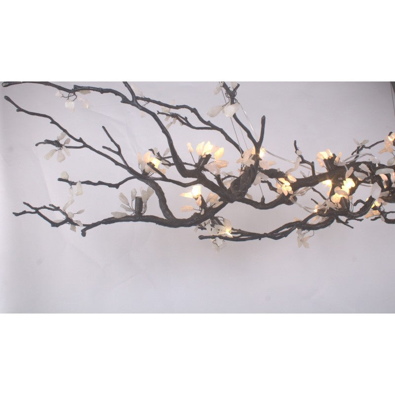 OR076 BRANDOLINI