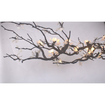 OR076 BRANDOLINI