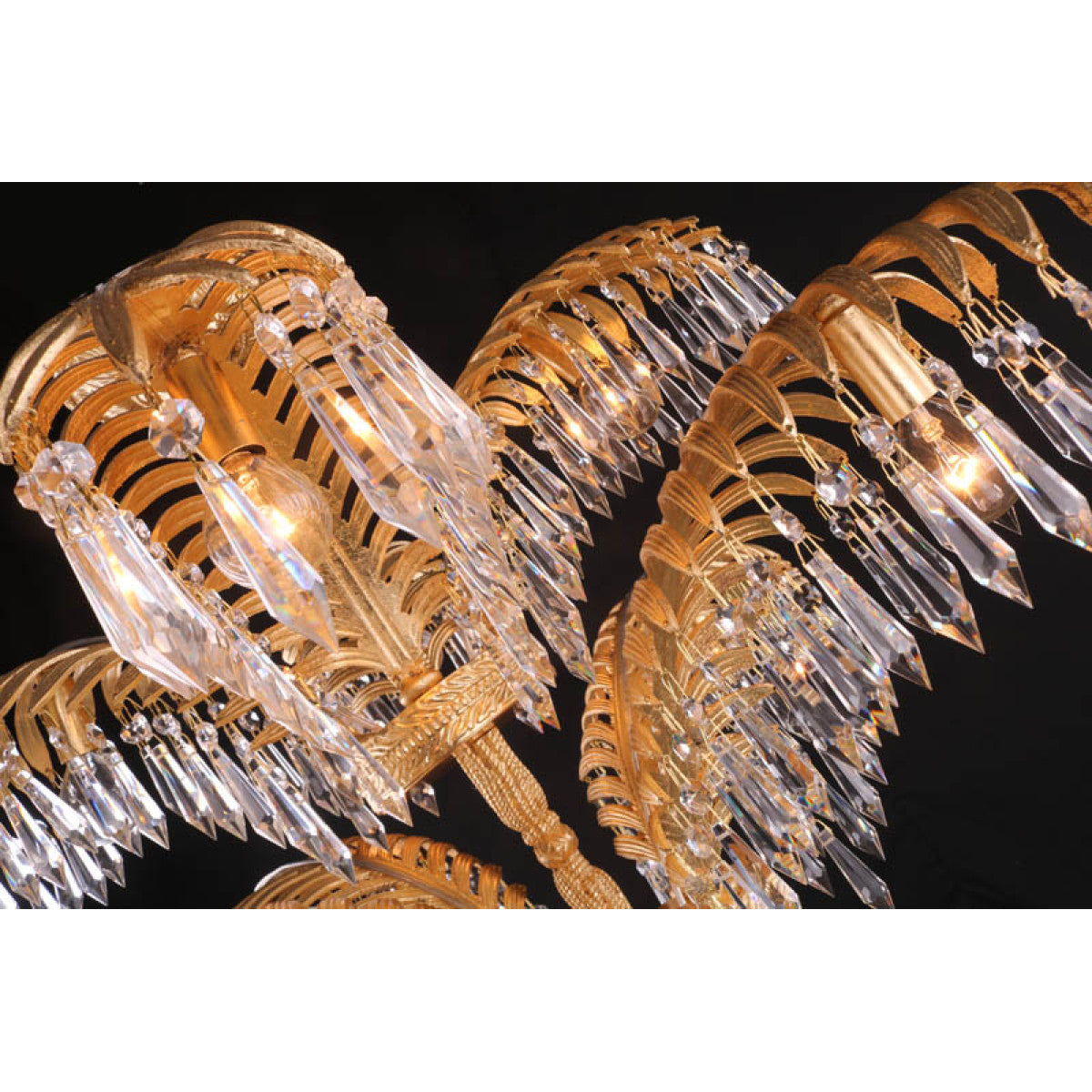 QZ1916 Palme Harrolds