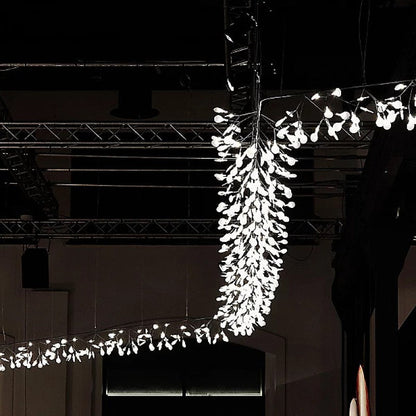 QZ2121 HERACLEUM SUSPENSION