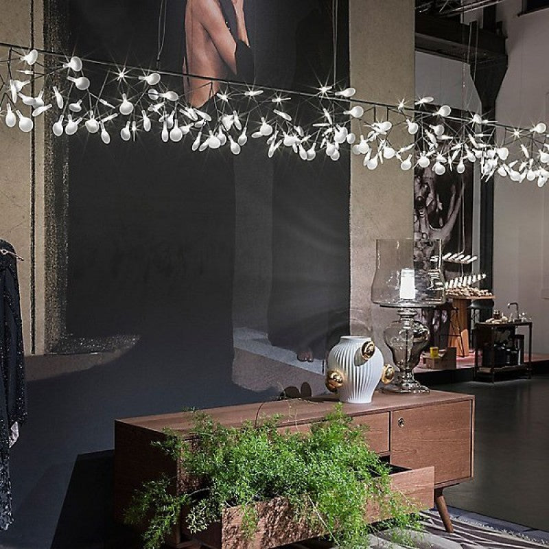 QZ2121 HERACLEUM SUSPENSION