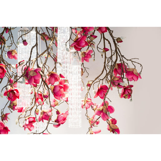 QZ2448 Magnolia