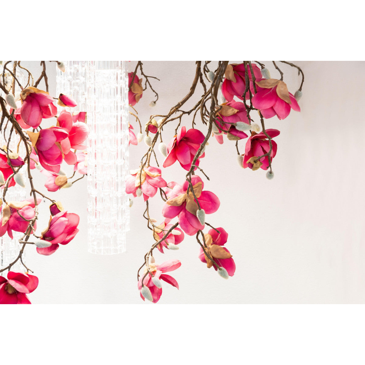 QZ2448 Magnolia