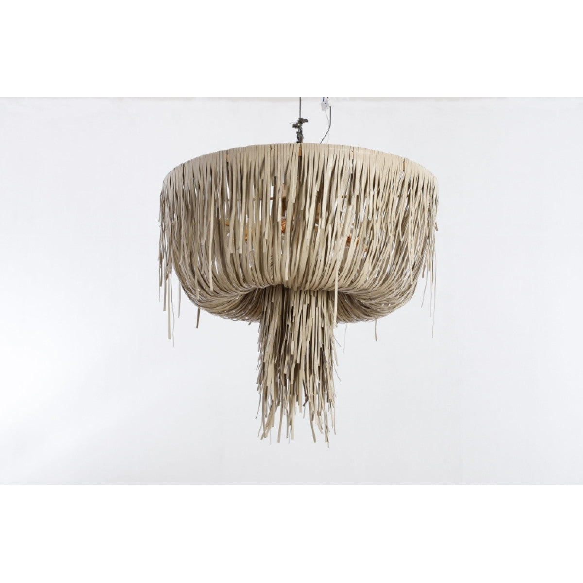 AM80723 Urchin