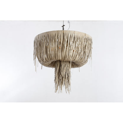 AM80723 Urchin