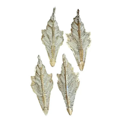 SL1311 Biarritz Sconces