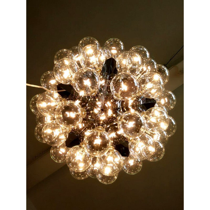 JK049 TARAXACUM 88