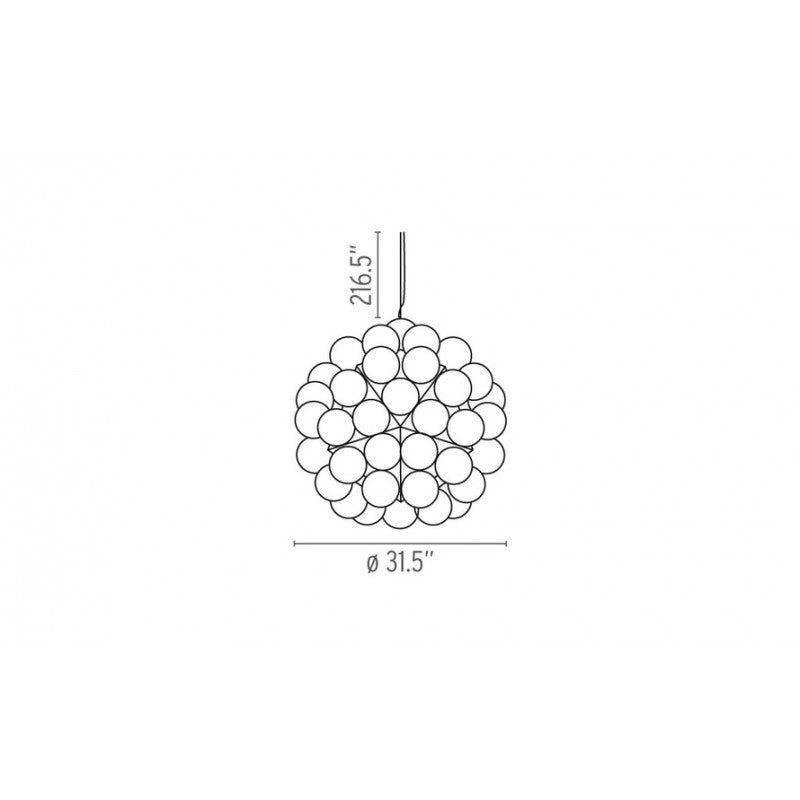JK049 TARAXACUM 88