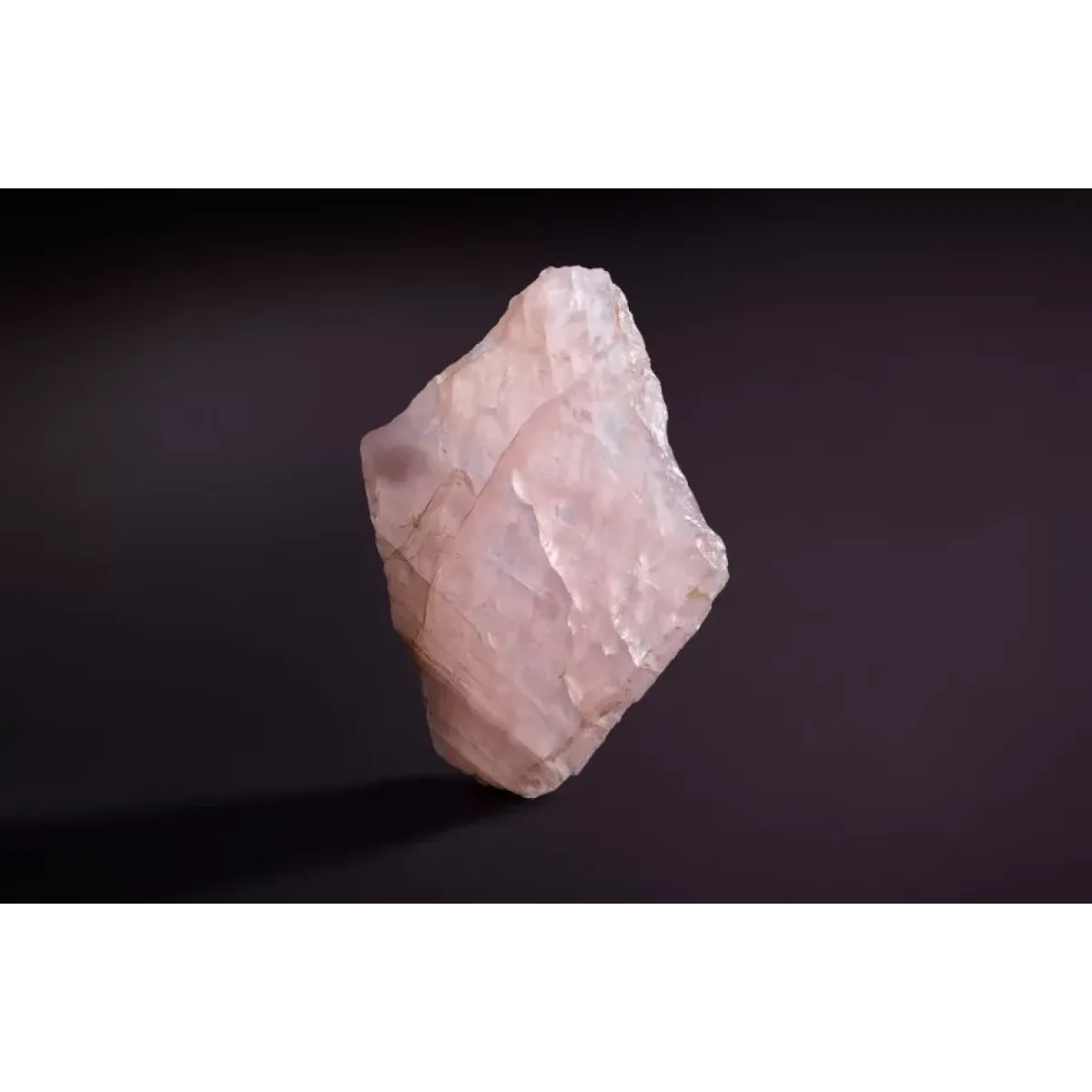 WM2059 Petra Ii