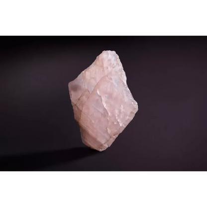 WM2059 Petra Ii