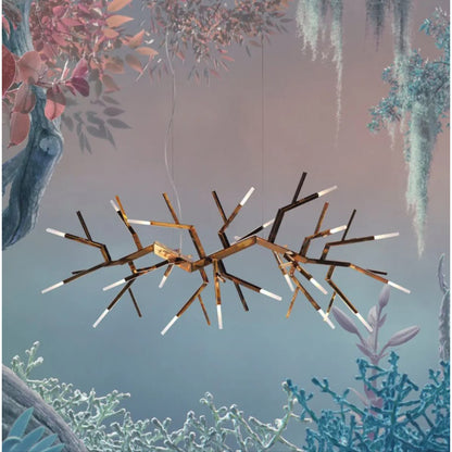WM2088 Acropora