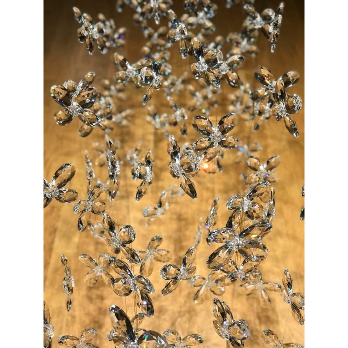WM2170 Butterflies