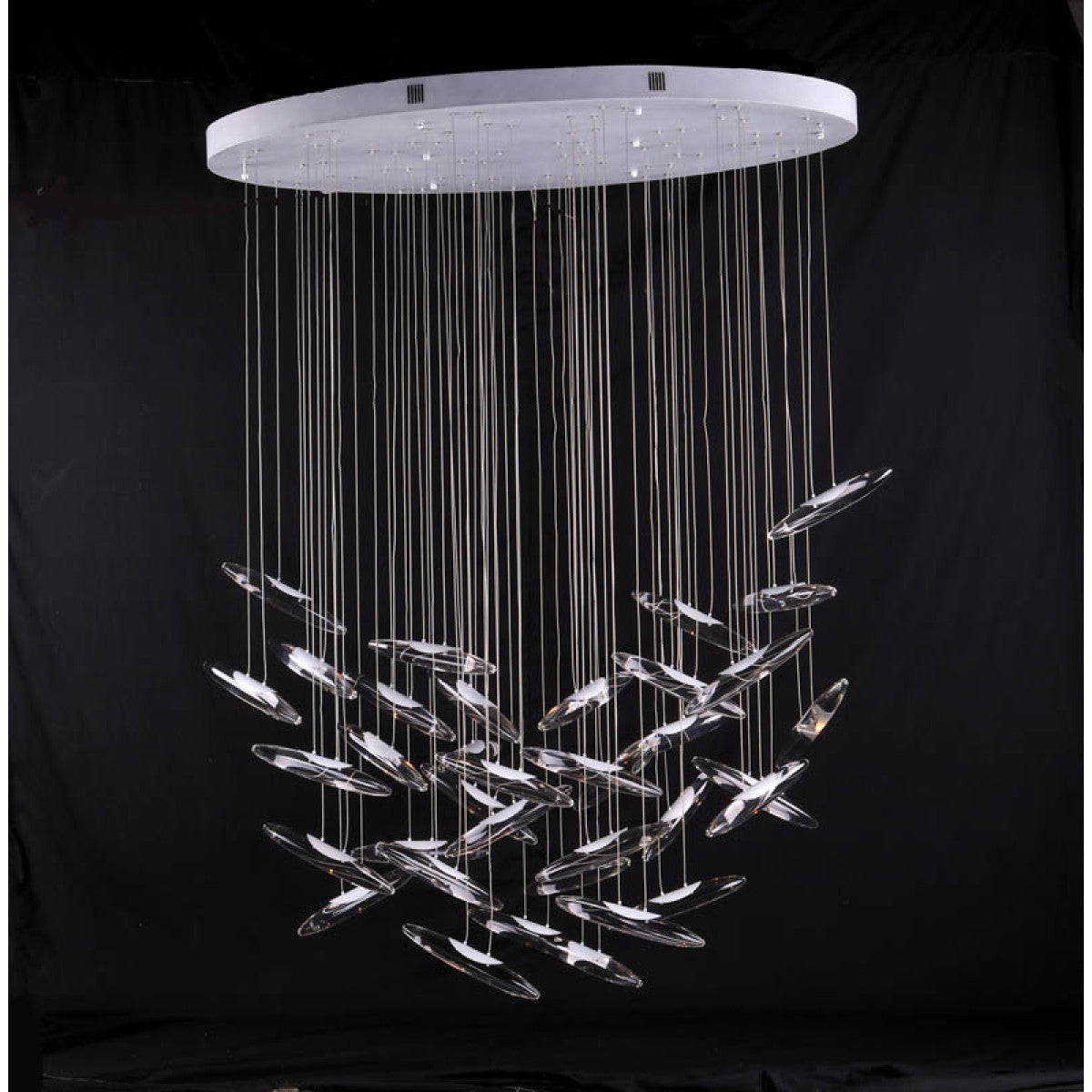 AM0201 Moonlight Murmuration