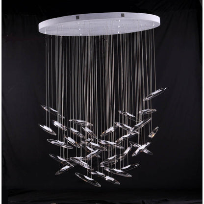 AM0201 Moonlight Murmuration