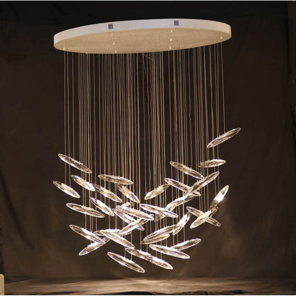 AM0201 Moonlight Murmuration