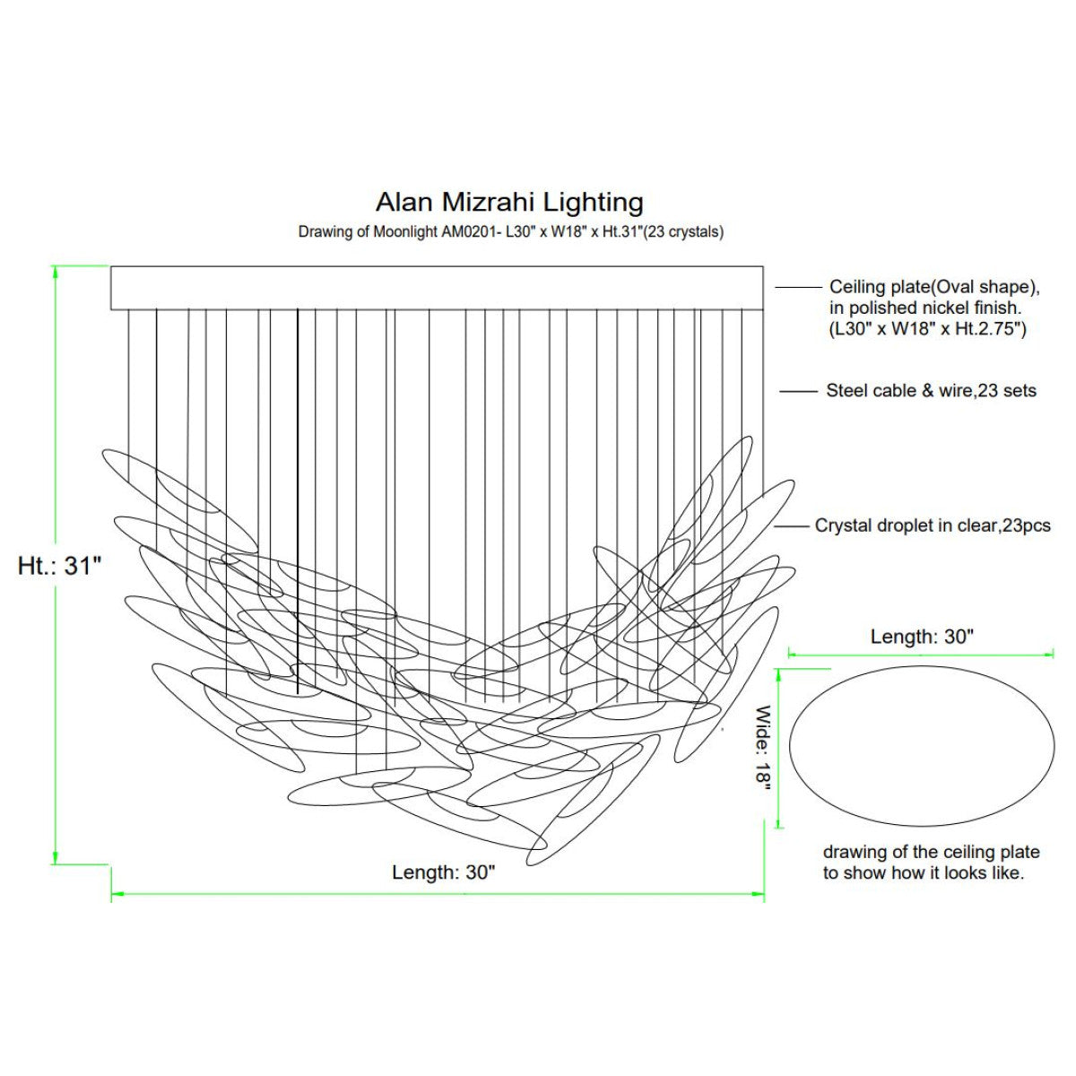AM0201 Moonlight Murmuration