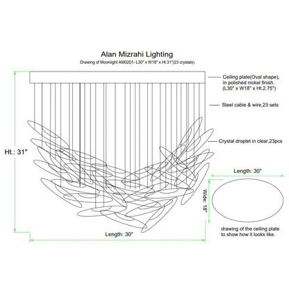 AM0201 Moonlight Murmuration