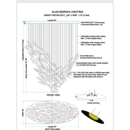 AM0201 Moonlight Murmuration