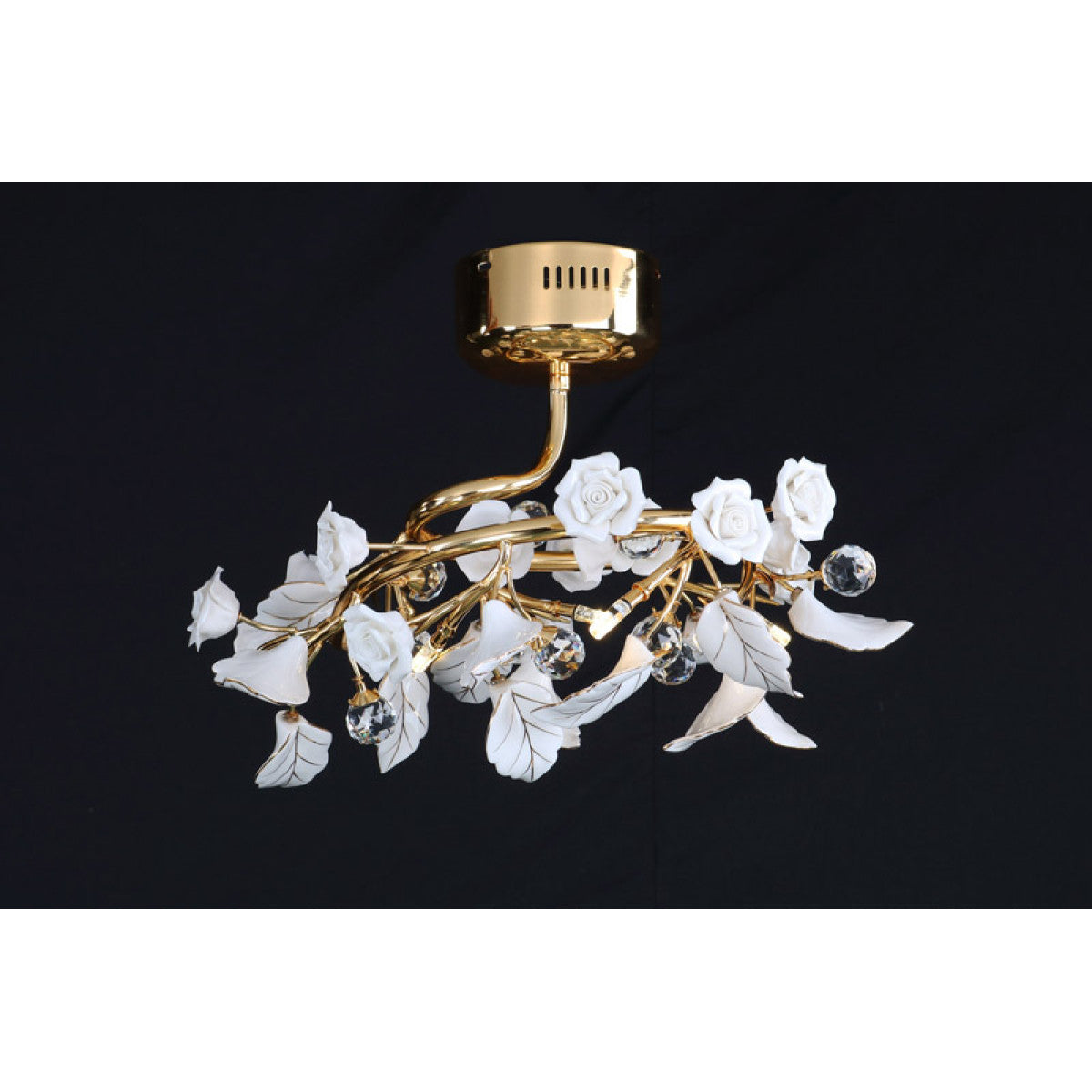 AM9922 Garden of Roses
