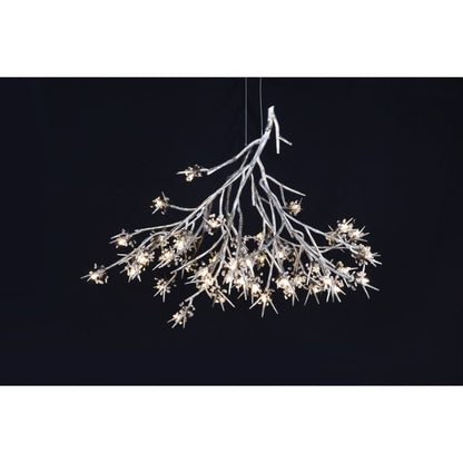 DV5623 Bloom Vivant