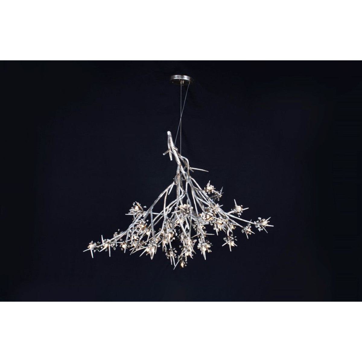 DV5623 Bloom Vivant