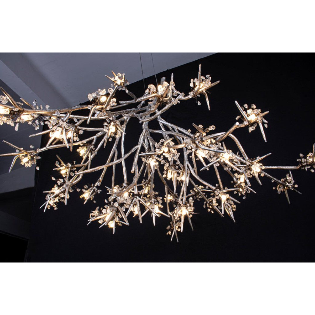 DV5623 Bloom Vivant