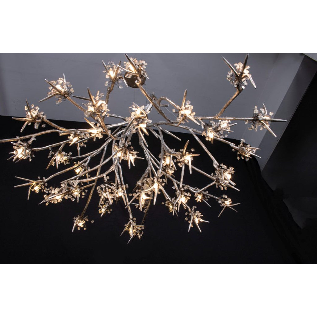 DV5623 Bloom Vivant
